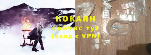 бошки Краснослободск