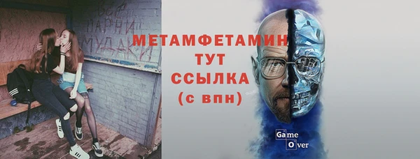 прущие грибы Корсаков