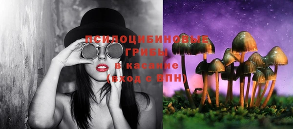 бошки Краснослободск